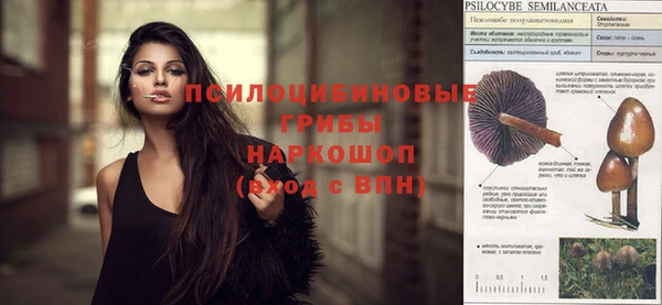 PSILOCYBIN Магадан