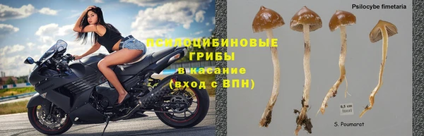 PSILOCYBIN Магадан