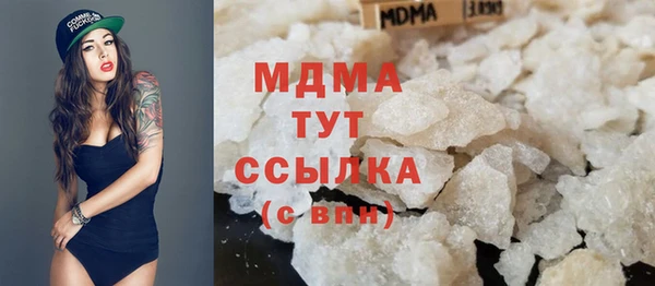 индика Магас