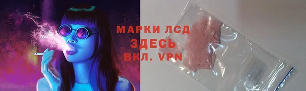 PSILOCYBIN Магадан