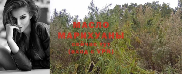 индика Магас