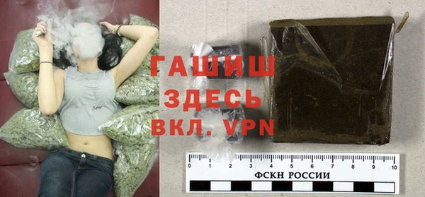 индика Магас