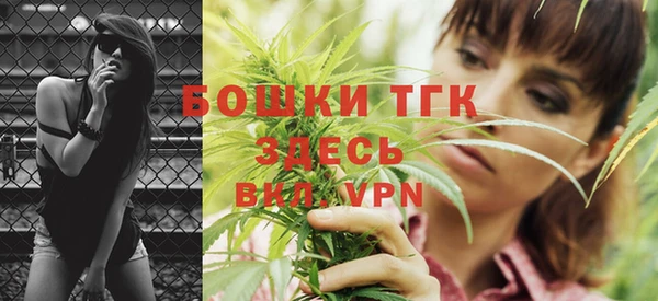 индика Магас