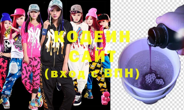 индика Магас