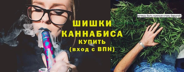 индика Магас