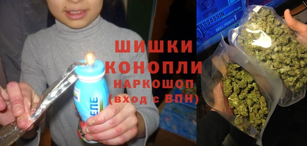 PSILOCYBIN Магадан