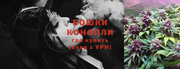 индика Магас
