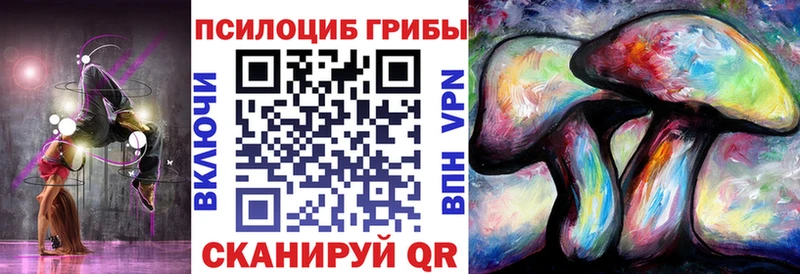 цена   Чадан  Псилоцибиновые грибы GOLDEN TEACHER 