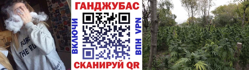 купить наркоту  мега ТОР  Конопля MAZAR  Чадан 